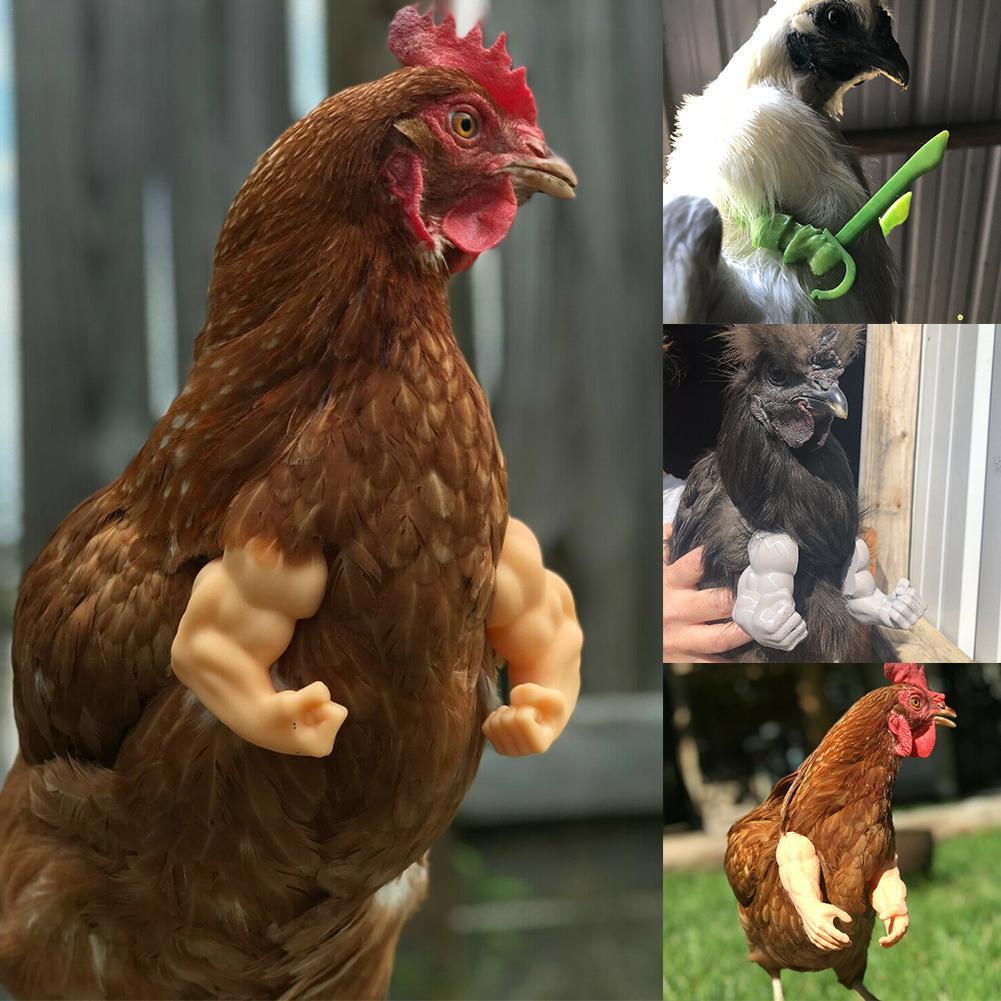 Chicken Toy Gag Gift Wearing Artificial Dinosaur Arms Sword Props Pet Themed Party Funny Bird Decor Pet Supplies Wholesale